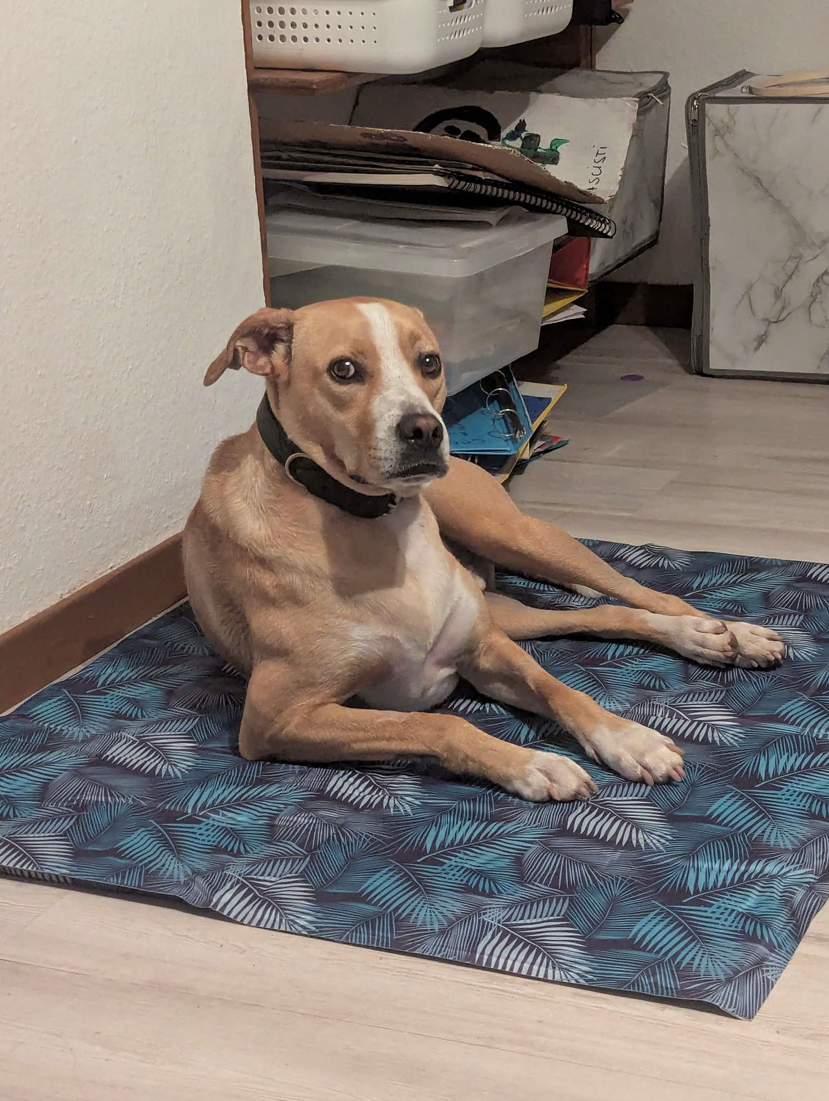Tapis rafraichîssant - Leomat