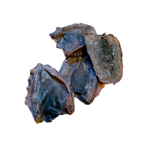 Calamar