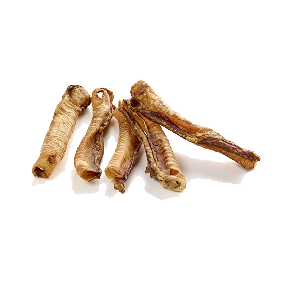 Trachées de cerf
