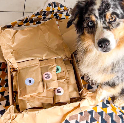 Box Calendrier de l'Avent pour chien XXL - 100% Mastication gourmande naturelle (envois entre 12-21 novembre)