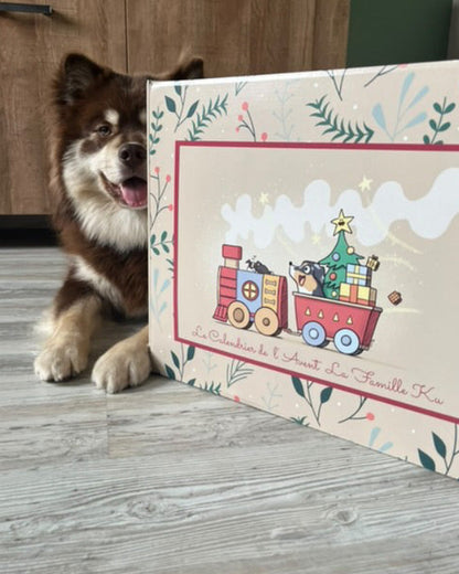 Box Calendrier de l'Avent pour chien XXL - 100% Mastication gourmande naturelle (envois entre 12-21 novembre)