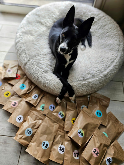 Box Calendrier de l'Avent pour chien XXL - 100% Mastication gourmande naturelle (envois entre 12-21 novembre)