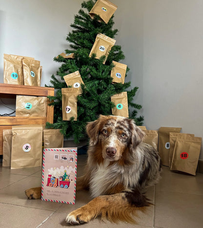 Box Calendrier de l'Avent pour chien XXL - 100% Mastication gourmande naturelle (envois entre 12-21 novembre)