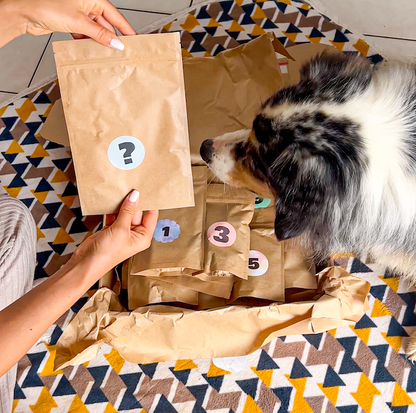 Box Calendrier de l'Avent pour chien XXL - 100% Mastication gourmande naturelle (envois entre 12-21 novembre)