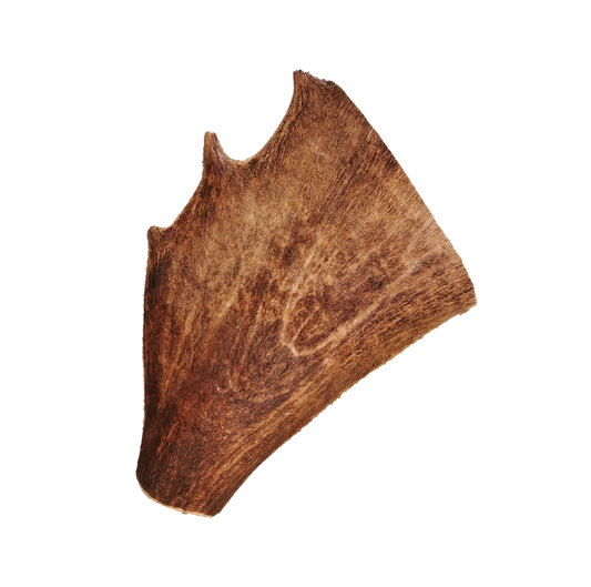 Bois de daim