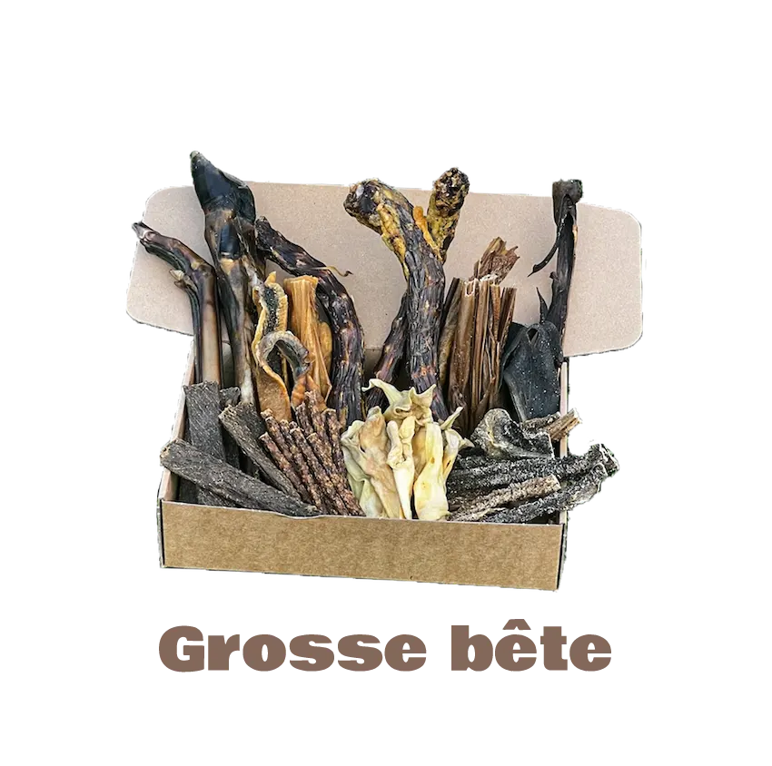 La Box Bidou Fragile (Hypoallergénique) - Grosse bête