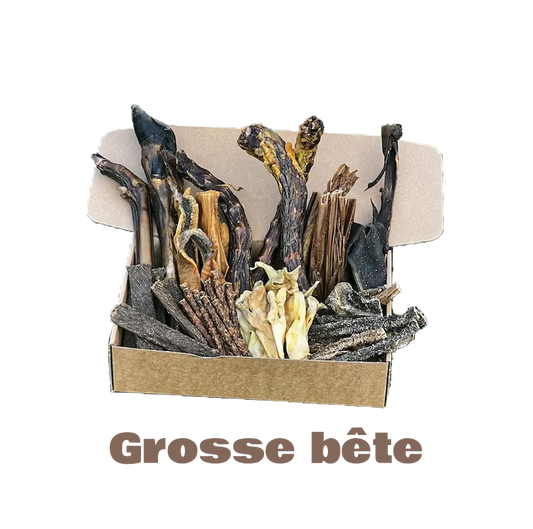 La Box Bidou Fragile (Hypoallergénique) - Grosse bête