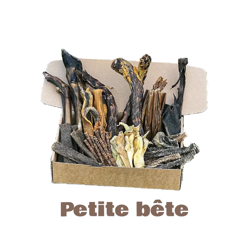 La Box Bidou Fragile (Hypoallergénique) - Petite bête
