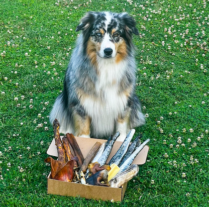 La Master Box d'Olive