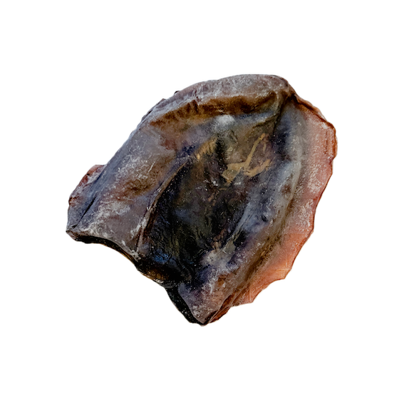 Calamar
