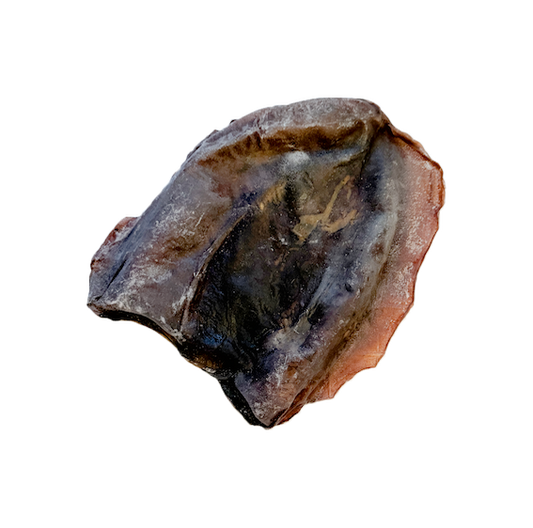 Calamar