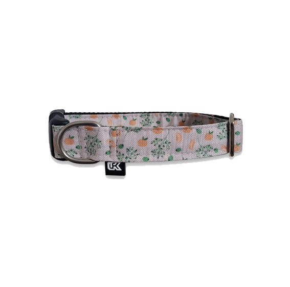 Collier imperméable LFK - PeeweePaw