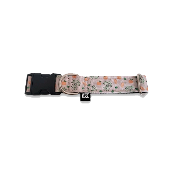 Collier imperméable LFK - PeeweePaw