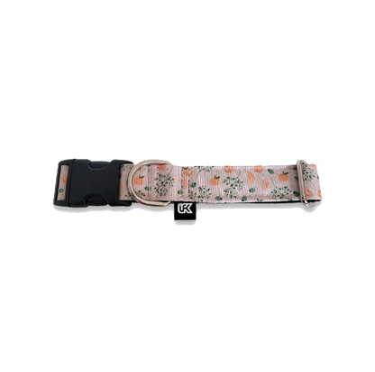 Collier imperméable LFK - PeeweePaw