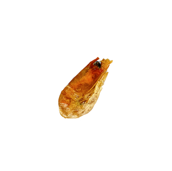 Crevettes entières