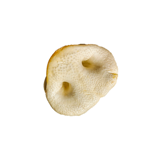 Groins de porc soufflés au miel - Gros