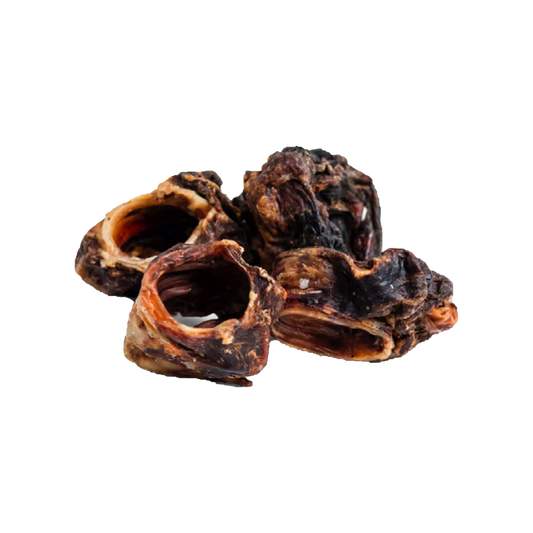 Larynx de boeuf
