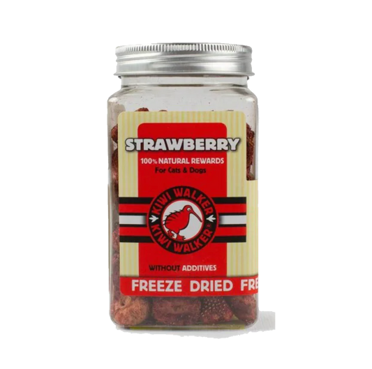 Kiwi Walker 100 % fraise - Friandises d'éducation lyophilisées