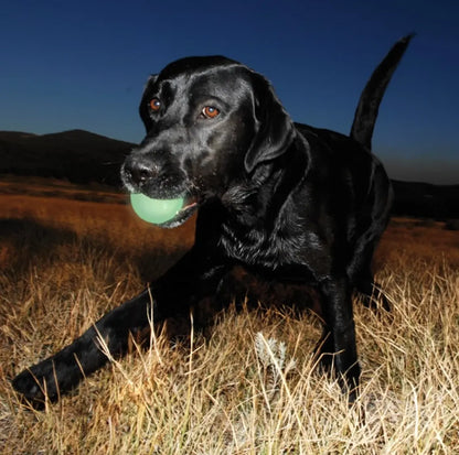 Balle Max Glow - Chuckit !