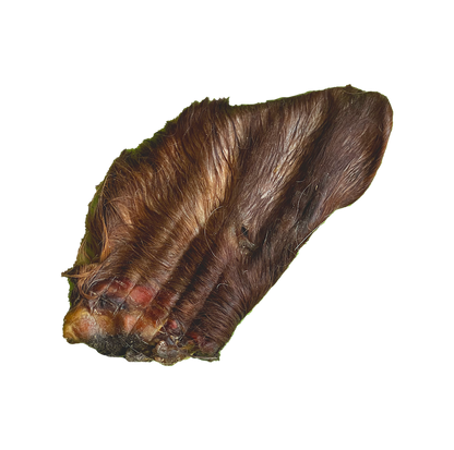 Oreilles de boeuf avec poils