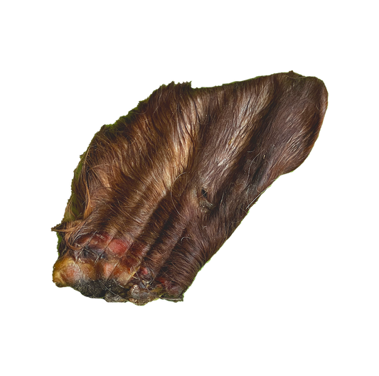 Oreilles de boeuf avec poils