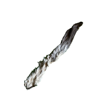 Oreilles de lapin avec poils