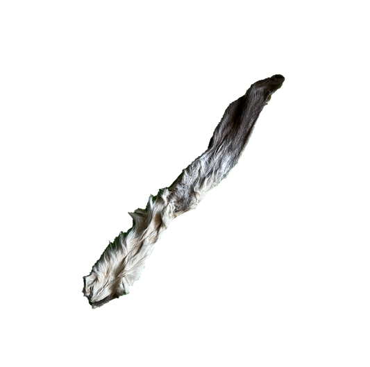 Oreilles de lapin avec poils