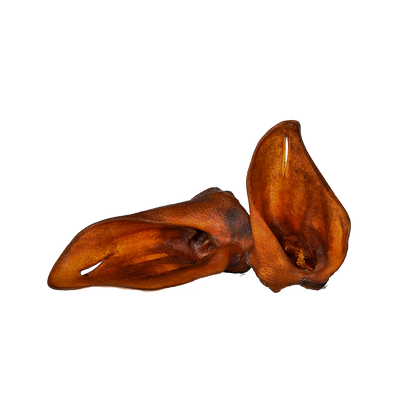 Oreilles de sanglier