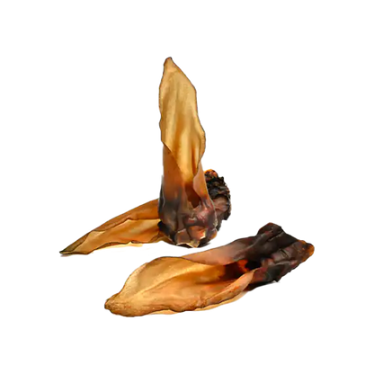 Oreilles de cerf