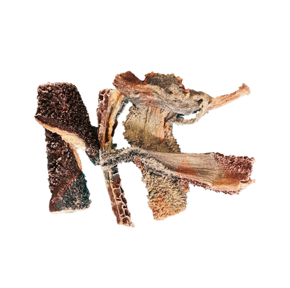 Tripes de boeuf
