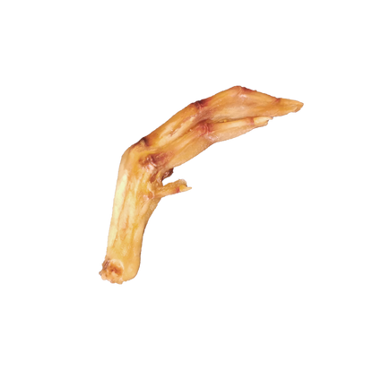 Pattes de canard