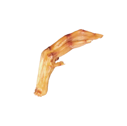 Pattes de canard
