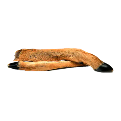 Patte de chevreuil