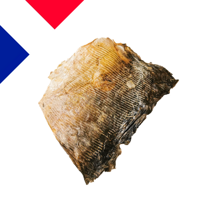 Peaux de carpe