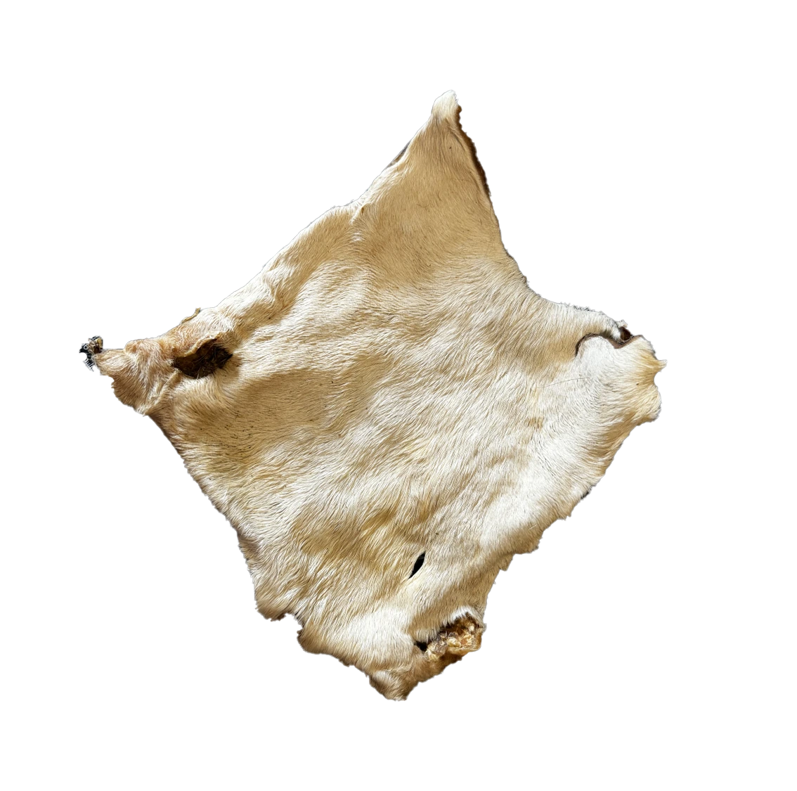 Plaques de boeuf avec poils