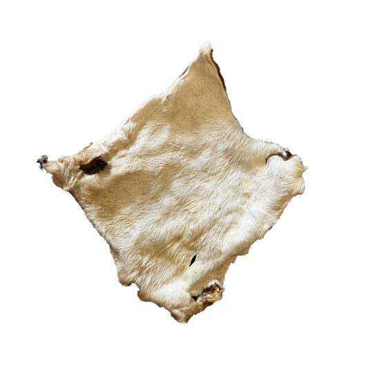 Plaques de boeuf avec poils