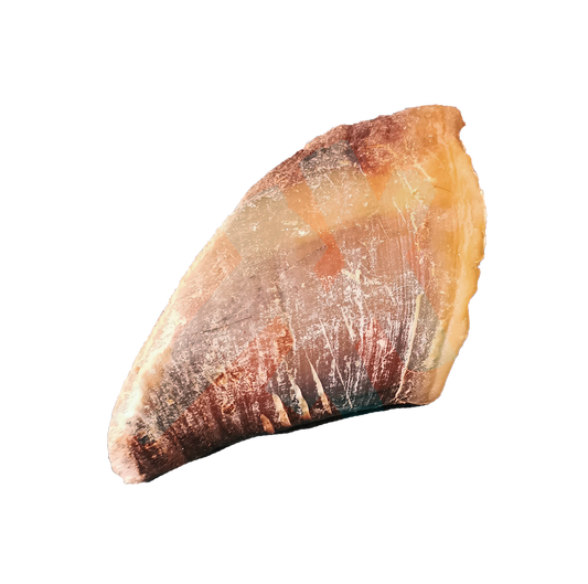 Sabots de boeuf