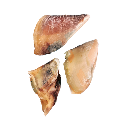 Sabots de boeuf