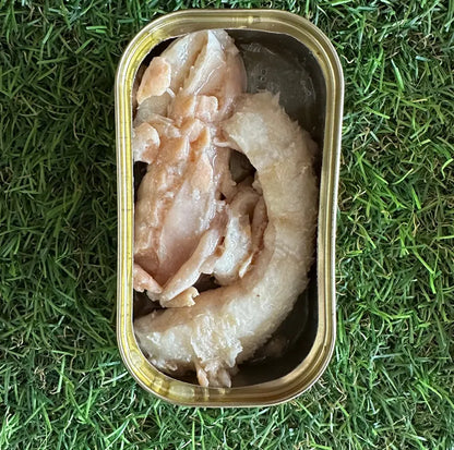 Conserves de poisson - Canumi pour chien