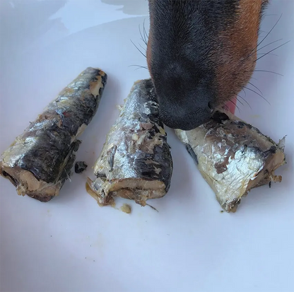 Conserves de poisson - Canumi pour chien