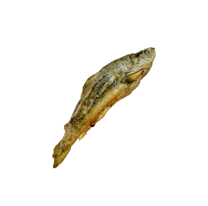Petits saumons lyophilisés