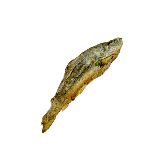 Petits saumons lyophilisés