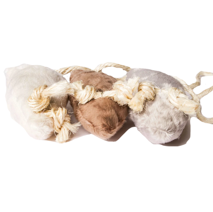 Souris à la valériane