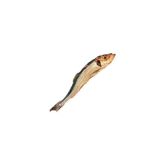 Sprats