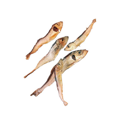 Sprats
