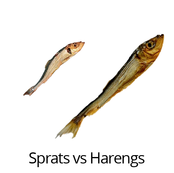Sprats