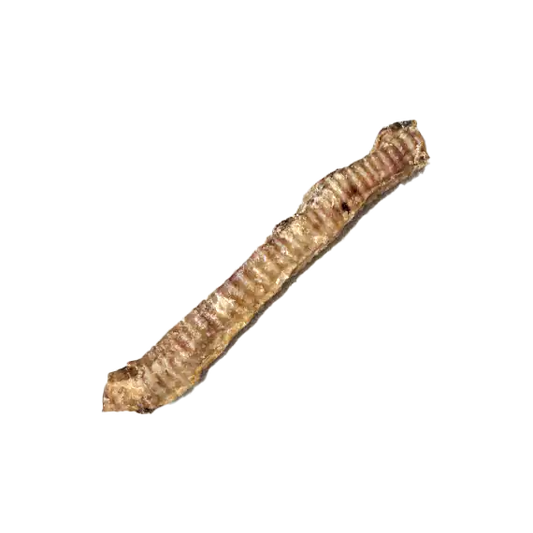 Trachées d'agneau