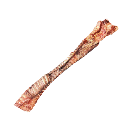 Trachées de boeuf