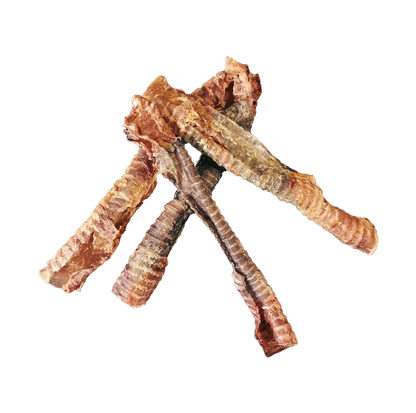 Trachées de boeuf
