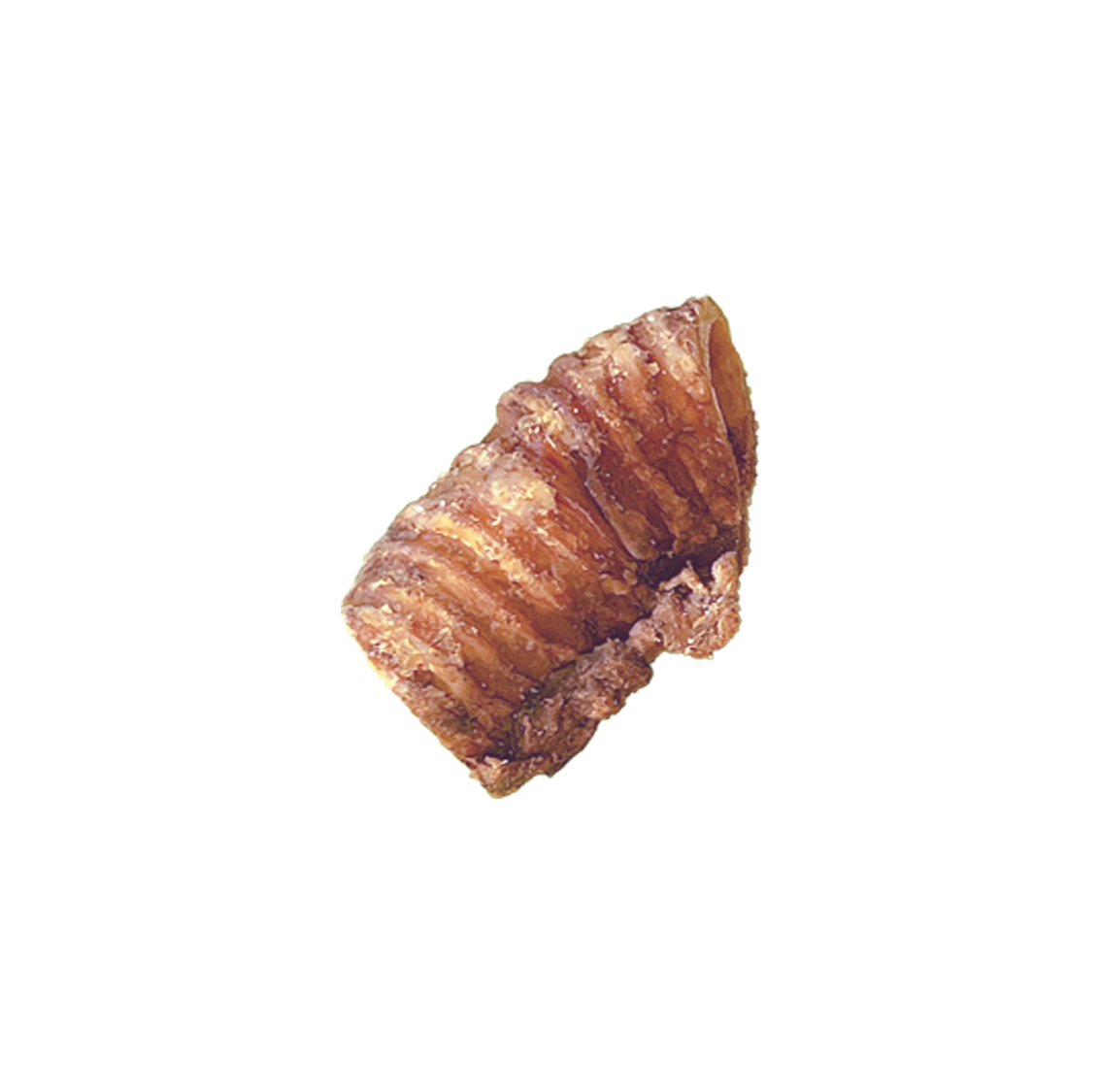 Trachées de boeuf